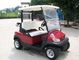 Red Color Trojan Battery Mini Electric Golf Car 48V Buggy Car