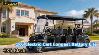 Carros de golf eléctricos negros CK6