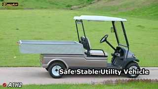 A1H2 Champagne Gold Este vehículo utilitario eléctrico polivalente ofrece seguridad y estabilidad, una larga